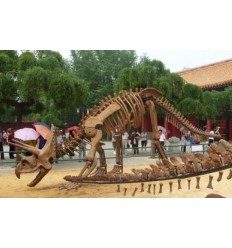 GRAN ESQUELETO DE DINOSAURIO TRICERATOPS