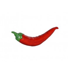 CHILE PEQUEÑO 70 CMS