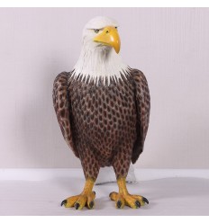 REPLICA AGUILA CALVA AMERICANA