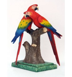 LOROS GUACAMAYO ROJO