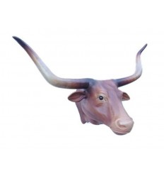 CABEZA TORO LONGHORN