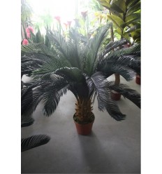 PLANTA ARTIFICIAL CYCAS19