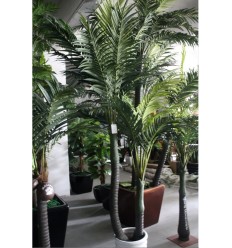 PLANTA DECORATIVA PLANTA PALM30