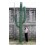 CACTUS GIGANTE