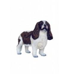 PERRO SPANIEL CAVALIER KING