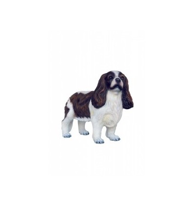 PERRO SPANIEL CAVALIER KING