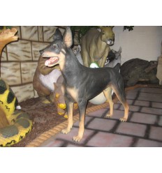 PERRO DOBERMAN