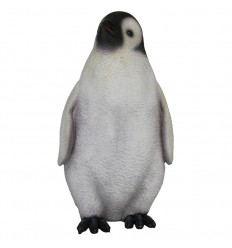 CRIA DE PINGUINO