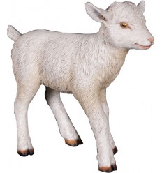 REPLICA CABRITO