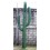 CACTUS GIGANTE